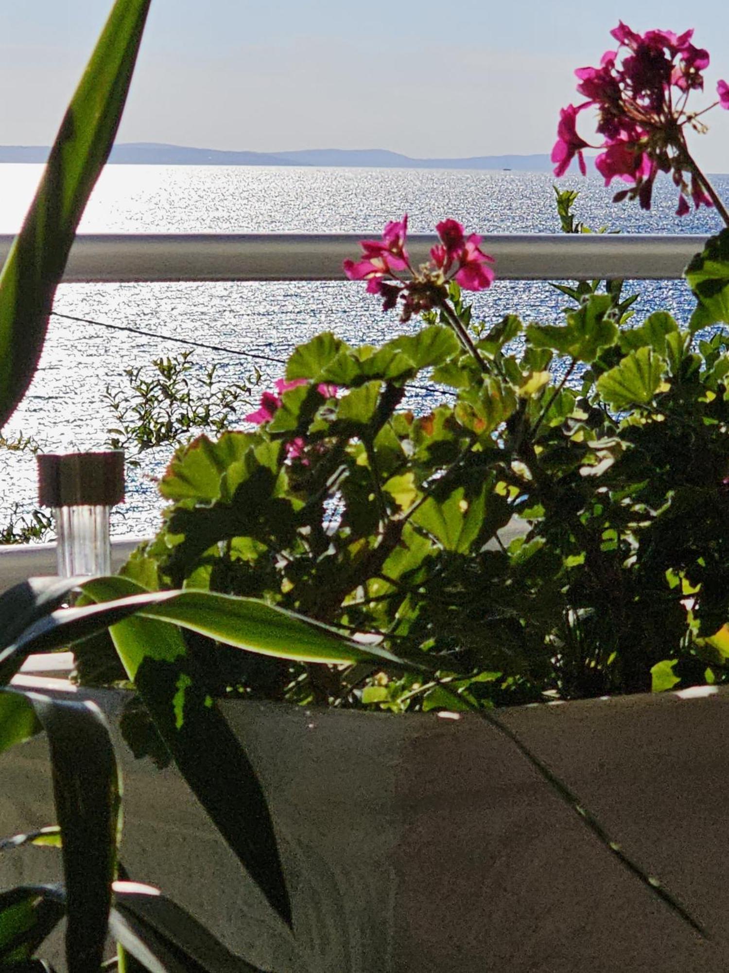 Beach Apartments Mika Lokva Rogoznica Extérieur photo